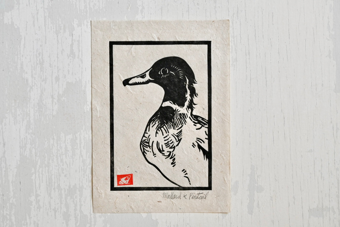 Mallard x Pintail Duck Hybrid ✦ Linocut Print