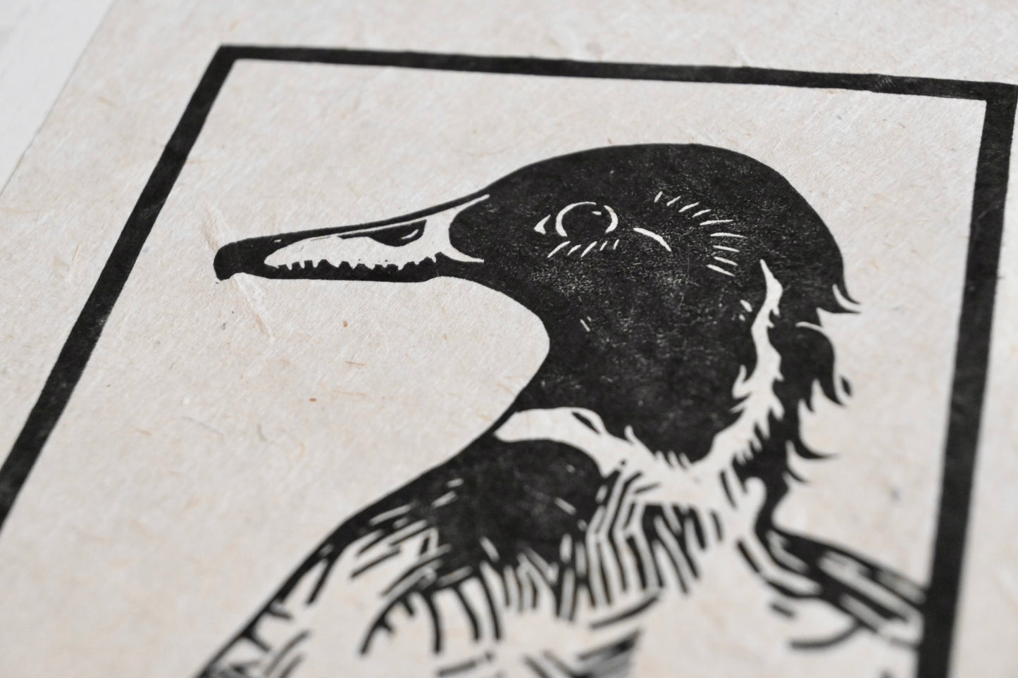 Mallard x Pintail Duck Hybrid ✦ Linocut Print