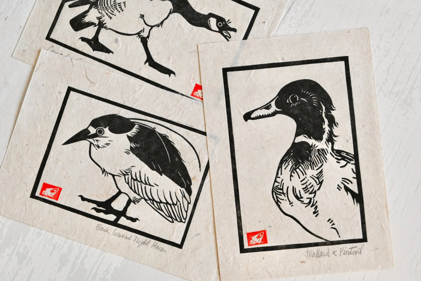 Mallard x Pintail Duck Hybrid ✦ Linocut Print