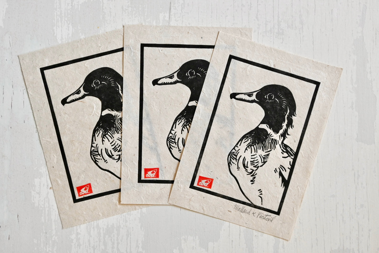 Mallard x Pintail Duck Hybrid ✦ Linocut Print
