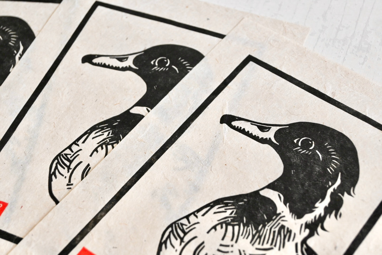 Mallard x Pintail Duck Hybrid ✦ Linocut Print