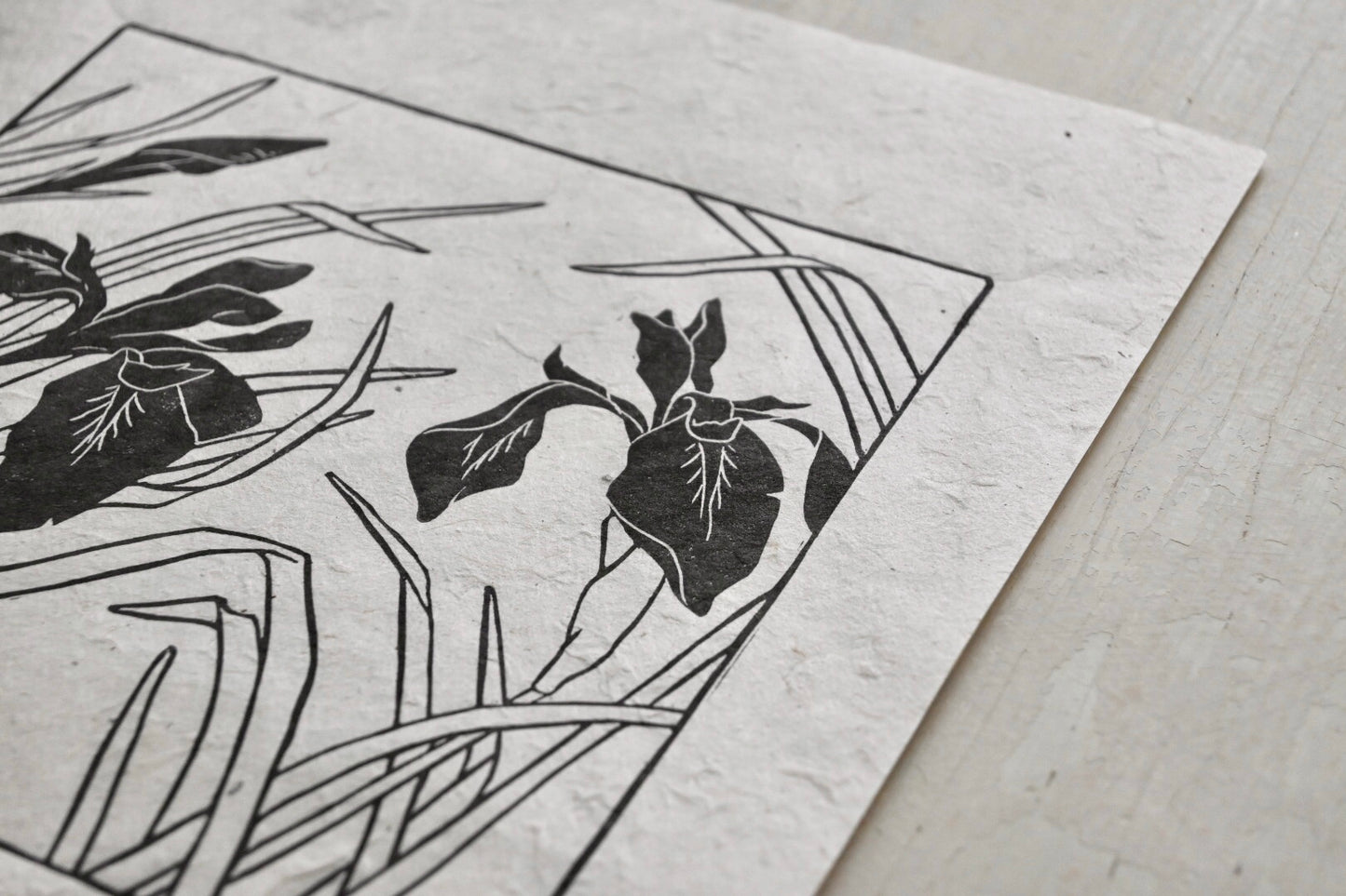 Blue Flag Wild Iris ✦ Linocut Print
