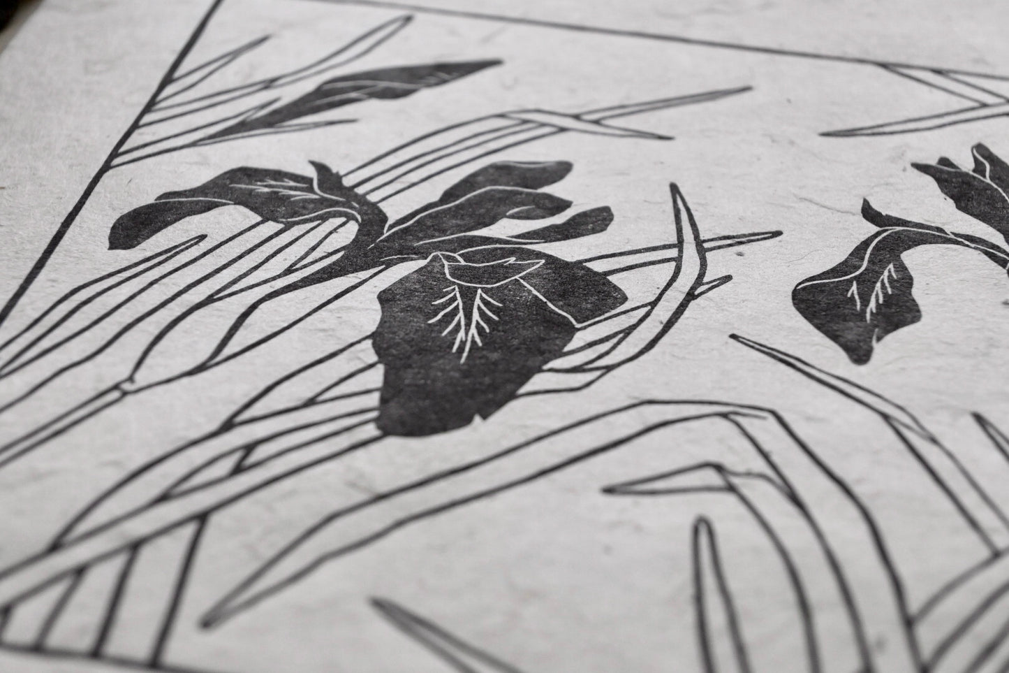 Blue Flag Wild Iris ✦ Linocut Print