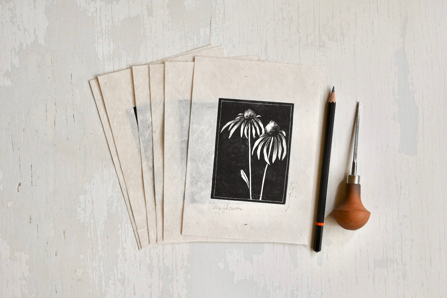 Pale Purple Coneflower ✦ Linocut Print