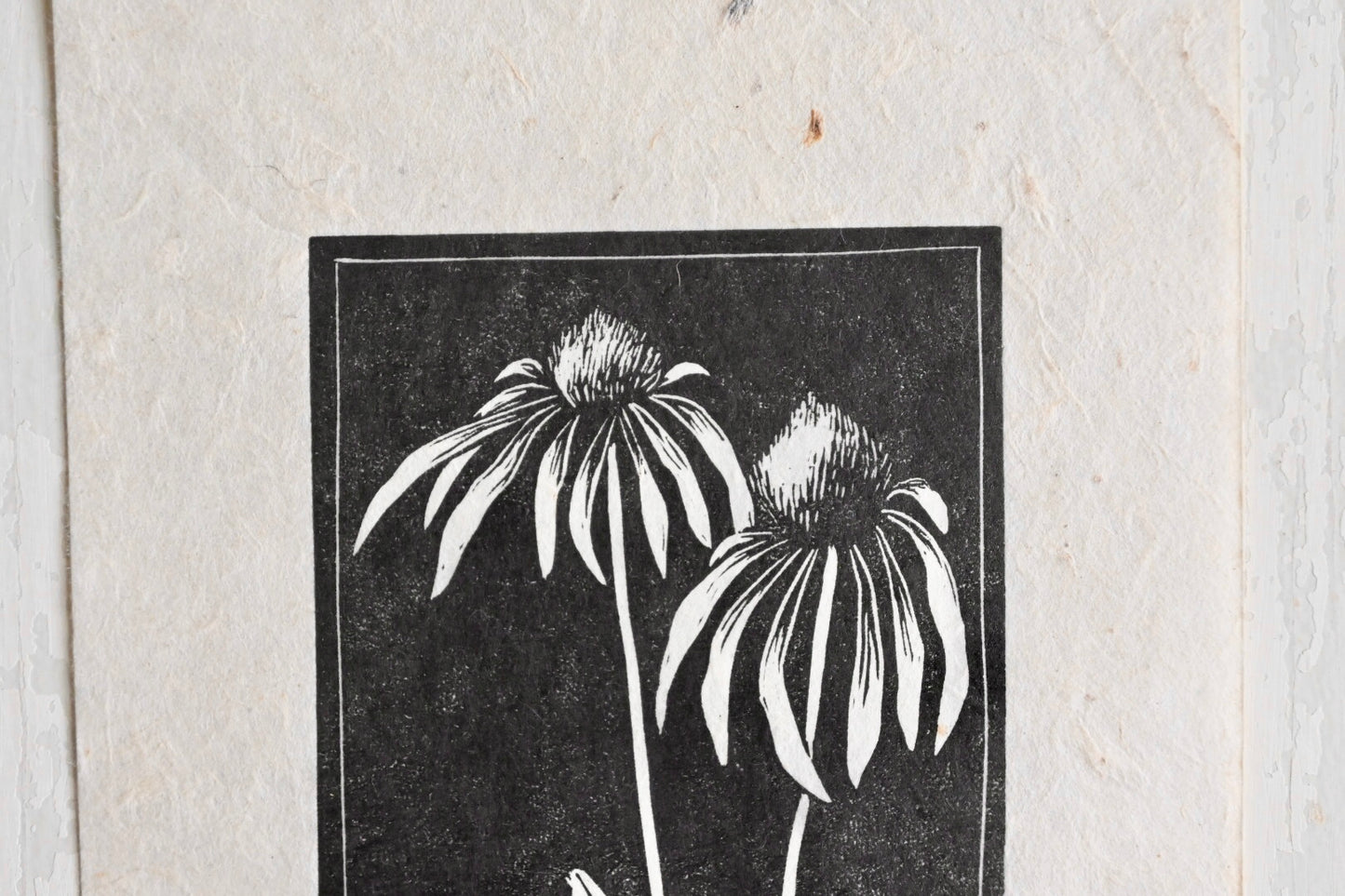 Pale Purple Coneflower ✦ Linocut Print
