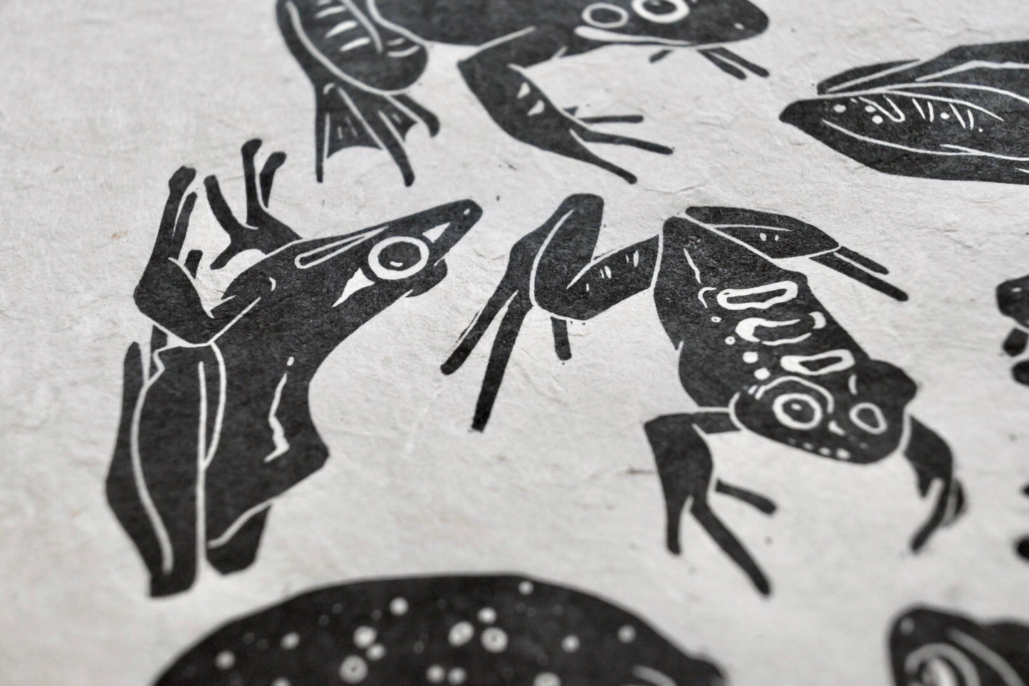 Frogs ✦ Linocut Print ✦ Dumpy Tree Frog - Leopard Frog - Pixie Frog - Green Tree Frog - Fungoid Frog - Rain Frog