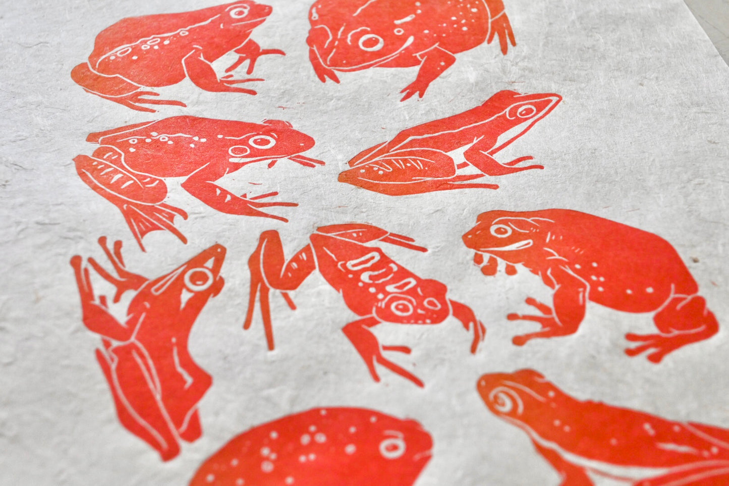 Frogs ✦ Linocut Print ✦ Dumpy Tree Frog - Leopard Frog - Pixie Frog - Green Tree Frog - Fungoid Frog - Rain Frog