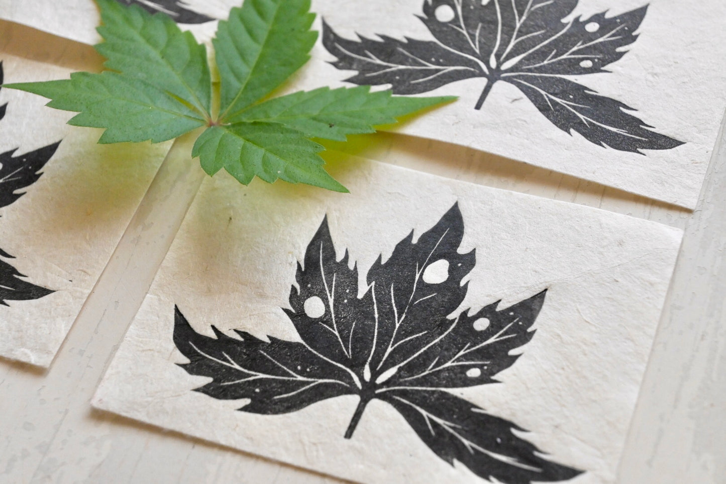 Mini Nature Prints ✦ Leaves Skulls Shells ✦ Linocut