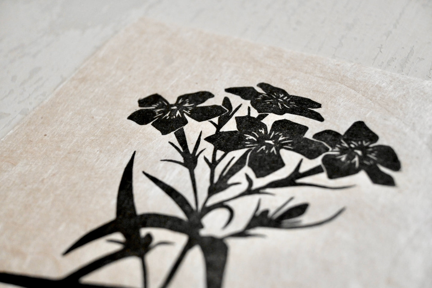 Downy Plox ✦ Prairie Phlox ✦ Linocut Print