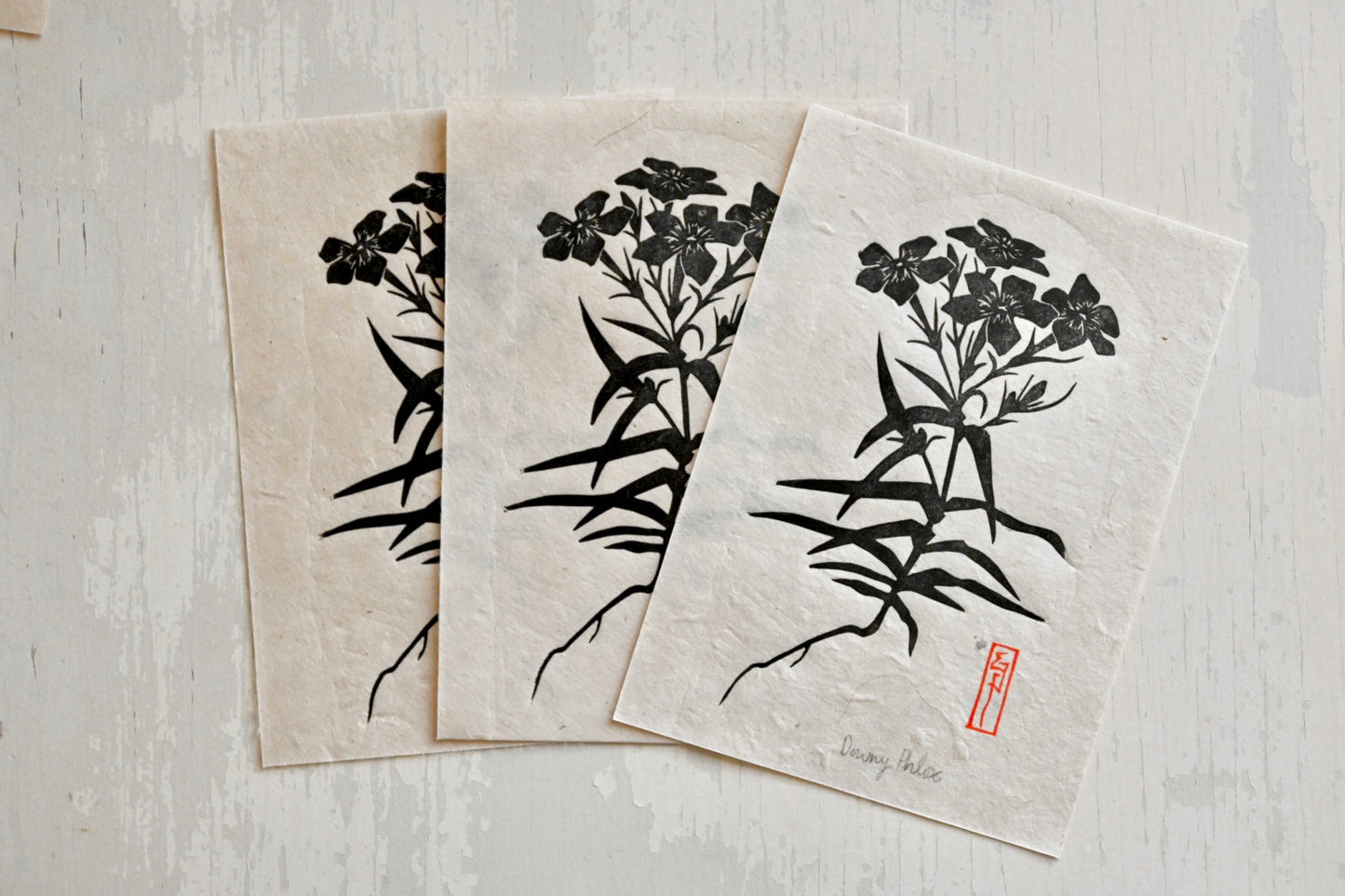 Downy Plox ✦ Prairie Phlox ✦ Linocut Print