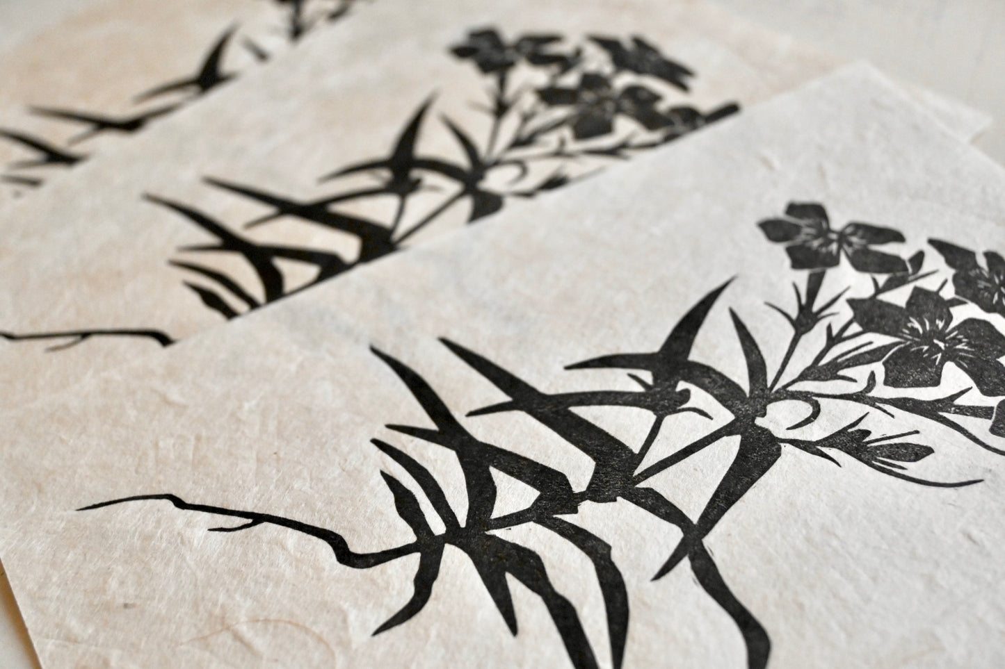 Downy Plox ✦ Prairie Phlox ✦ Linocut Print
