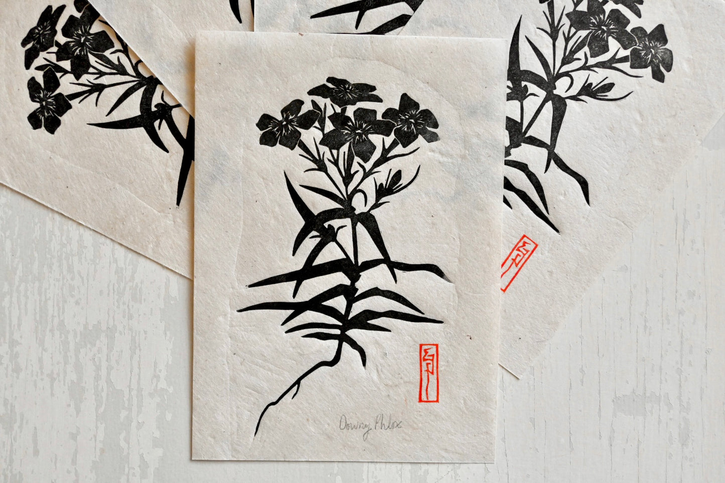 Downy Plox ✦ Prairie Phlox ✦ Linocut Print