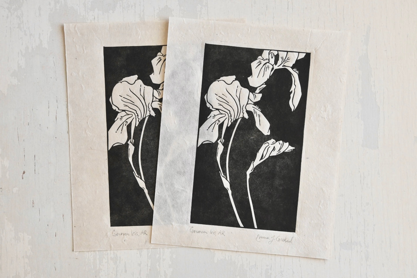 German Iris ✦ Linocut Print