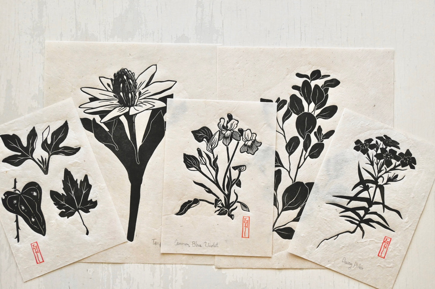 Common Blue Violet ✦ Linocut Print