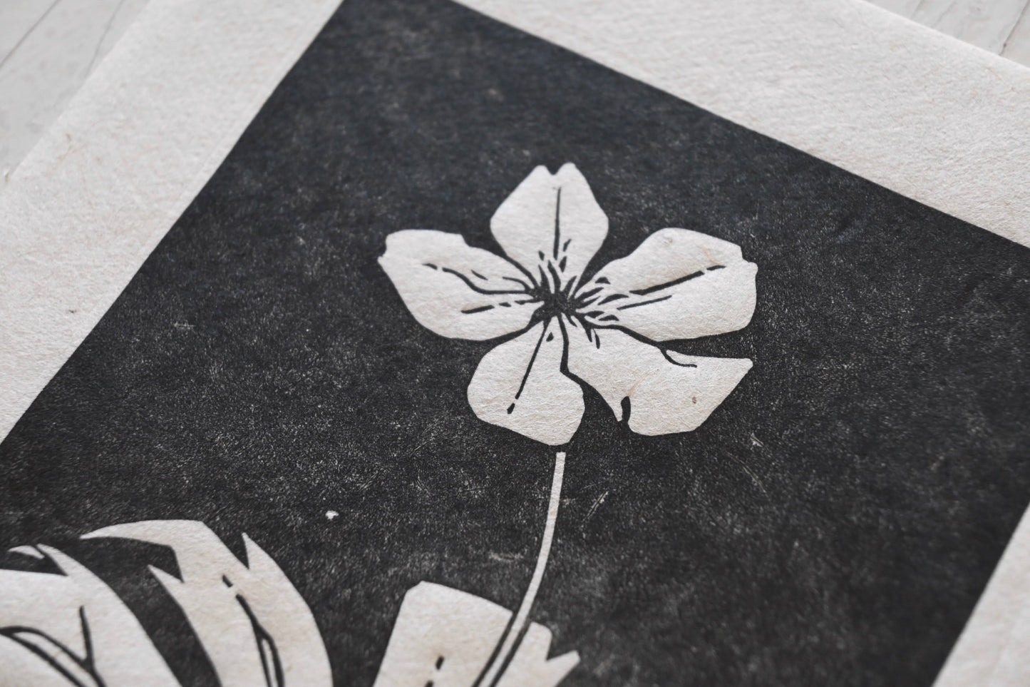 Canada Anemone ✦ Linocut Print ✦ Canadian Wildflower