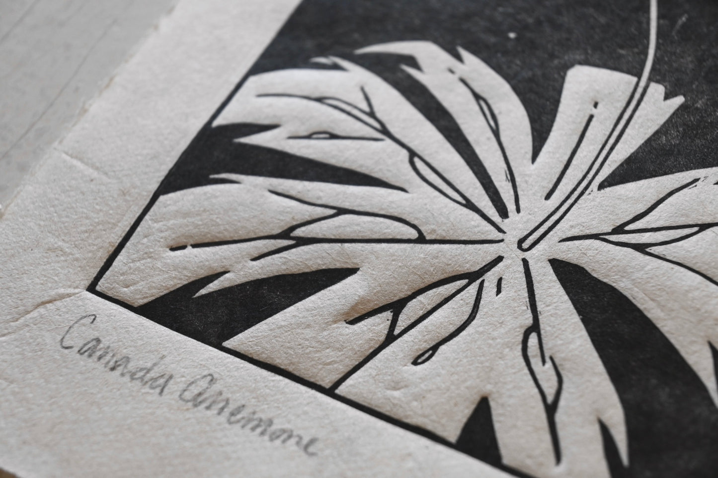Canada Anemone ✦ Linocut Print ✦ Canadian Wildflower
