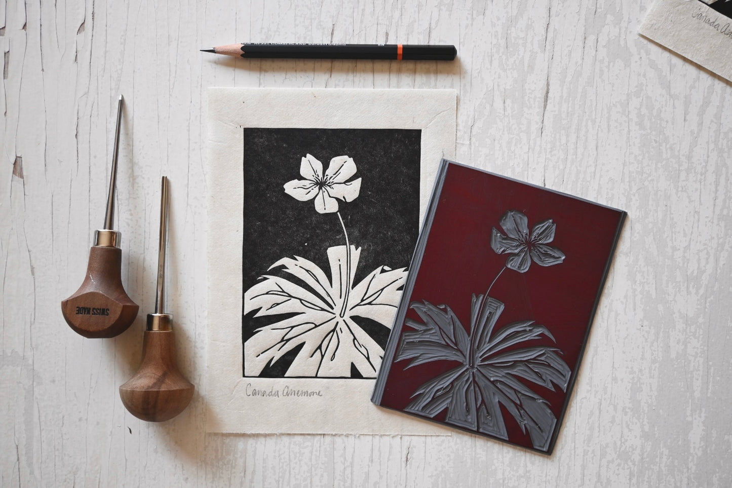 Canada Anemone ✦ Linocut Print ✦ Canadian Wildflower