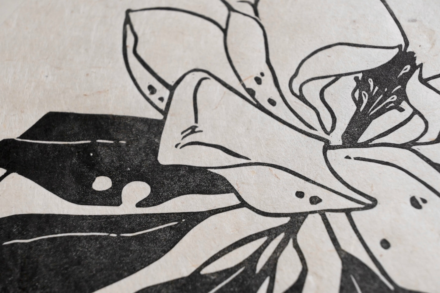 Southern Magnolia ✦ Linocut Print