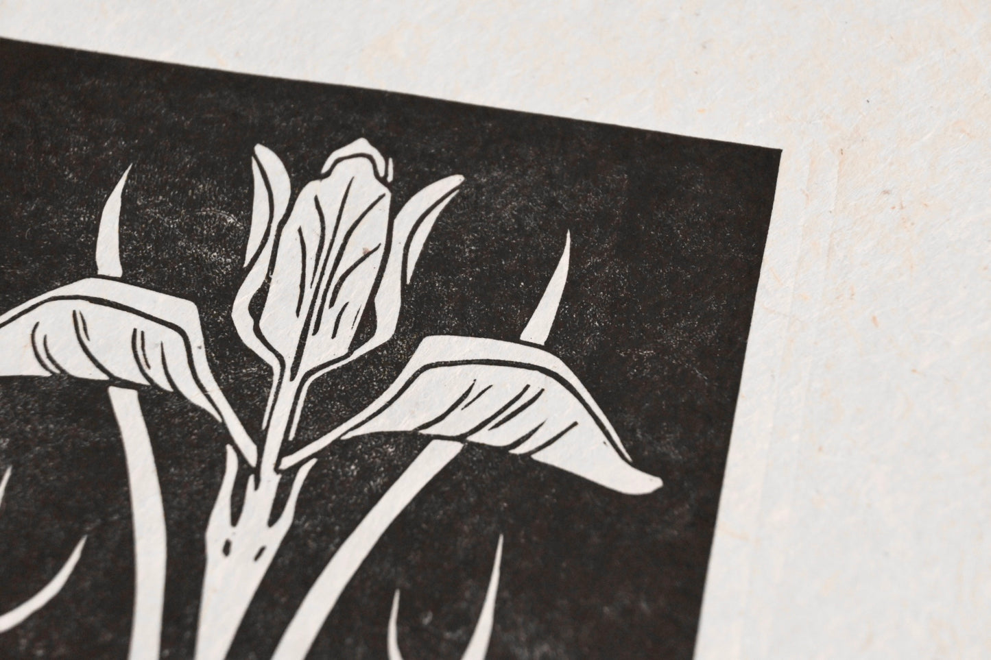 Wild Iris #5 ✦ Linocut Print ✦ Art Nouveau