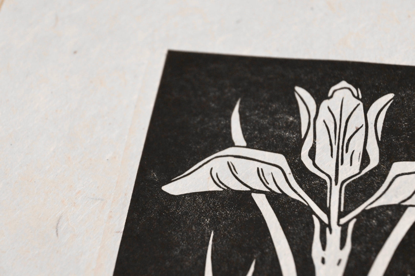 Wild Iris #5 ✦ Linocut Print ✦ Art Nouveau