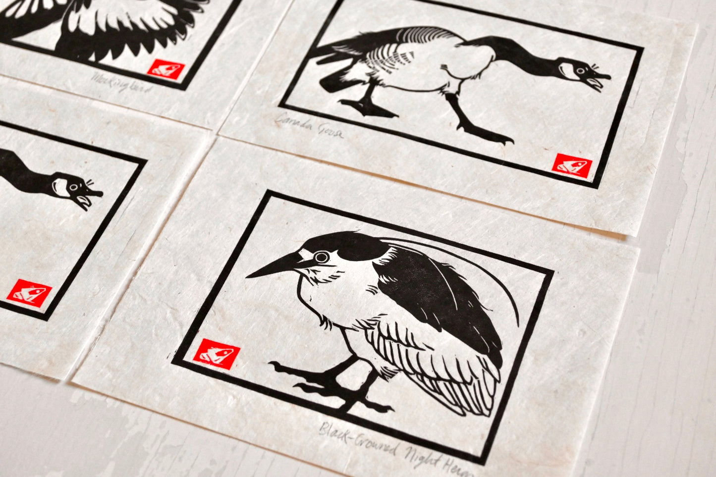 Black Crowned Night Heron ✦ Linocut Print ✦ Gifts for Bird Watchers