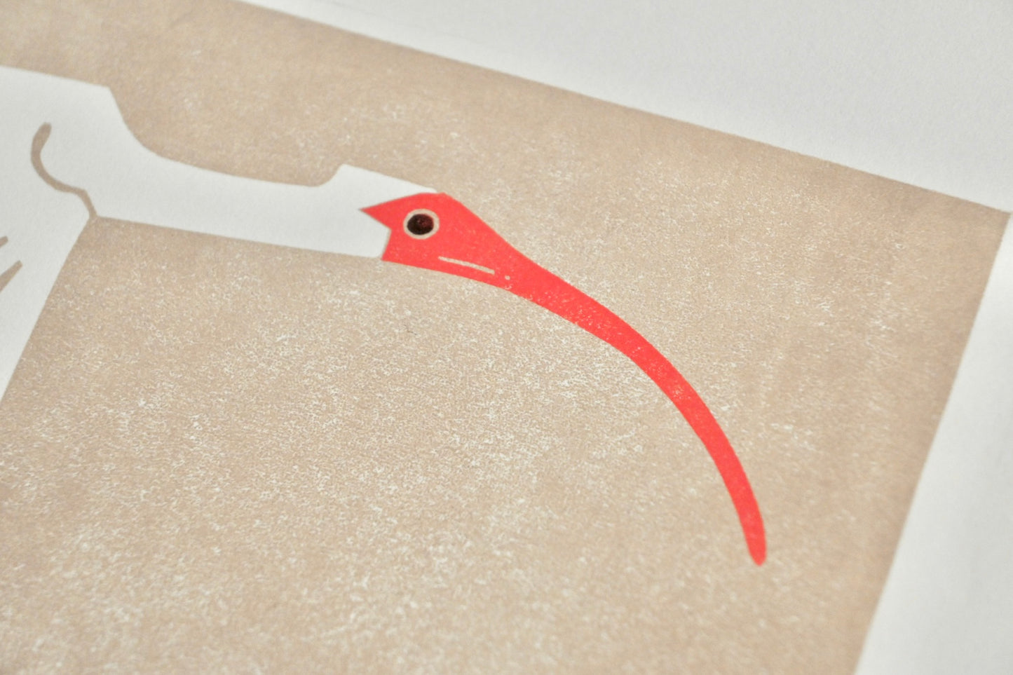 American White Ibis ✦ Limited Edition Linocut Print