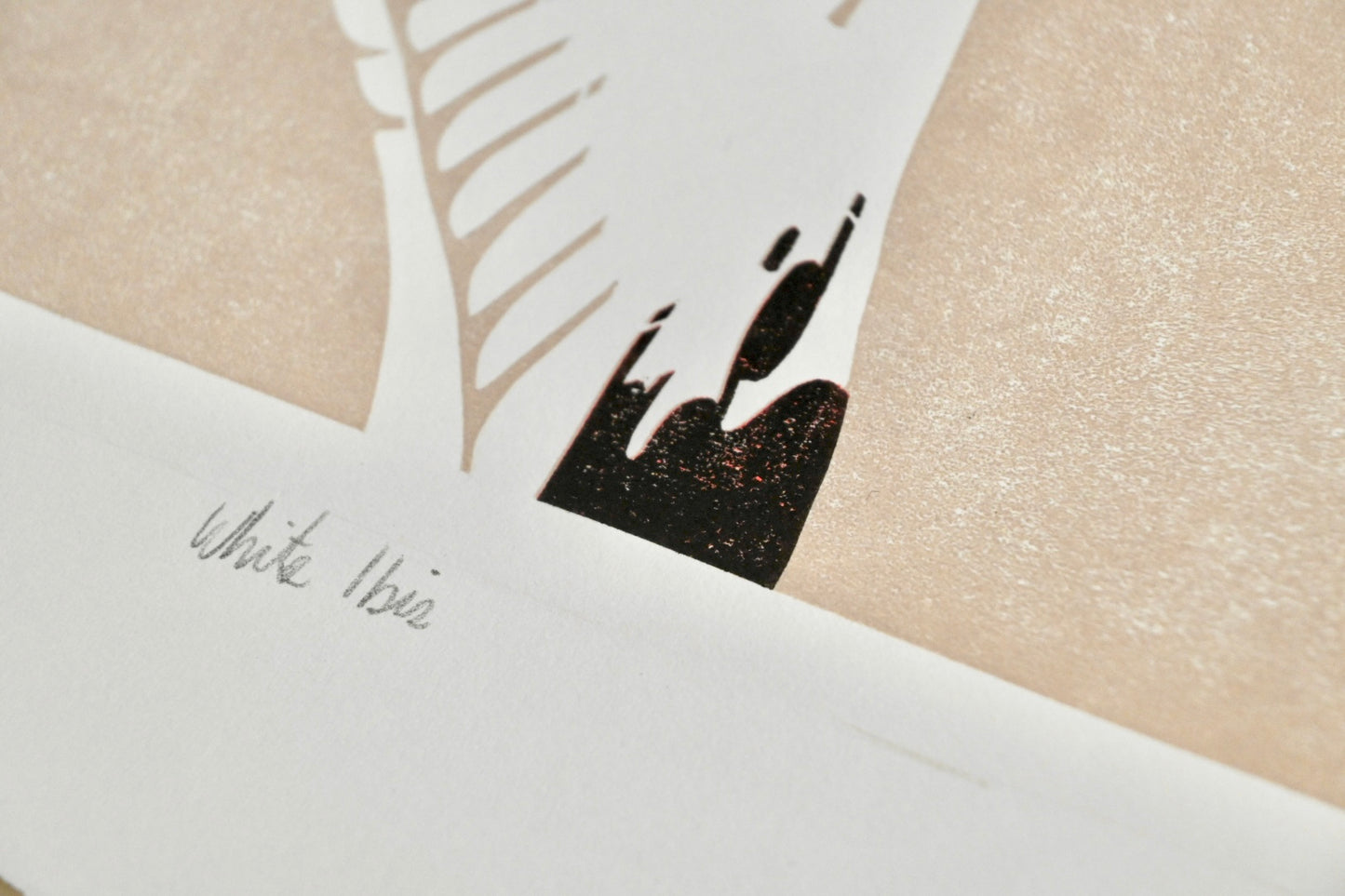 American White Ibis ✦ Limited Edition Linocut Print