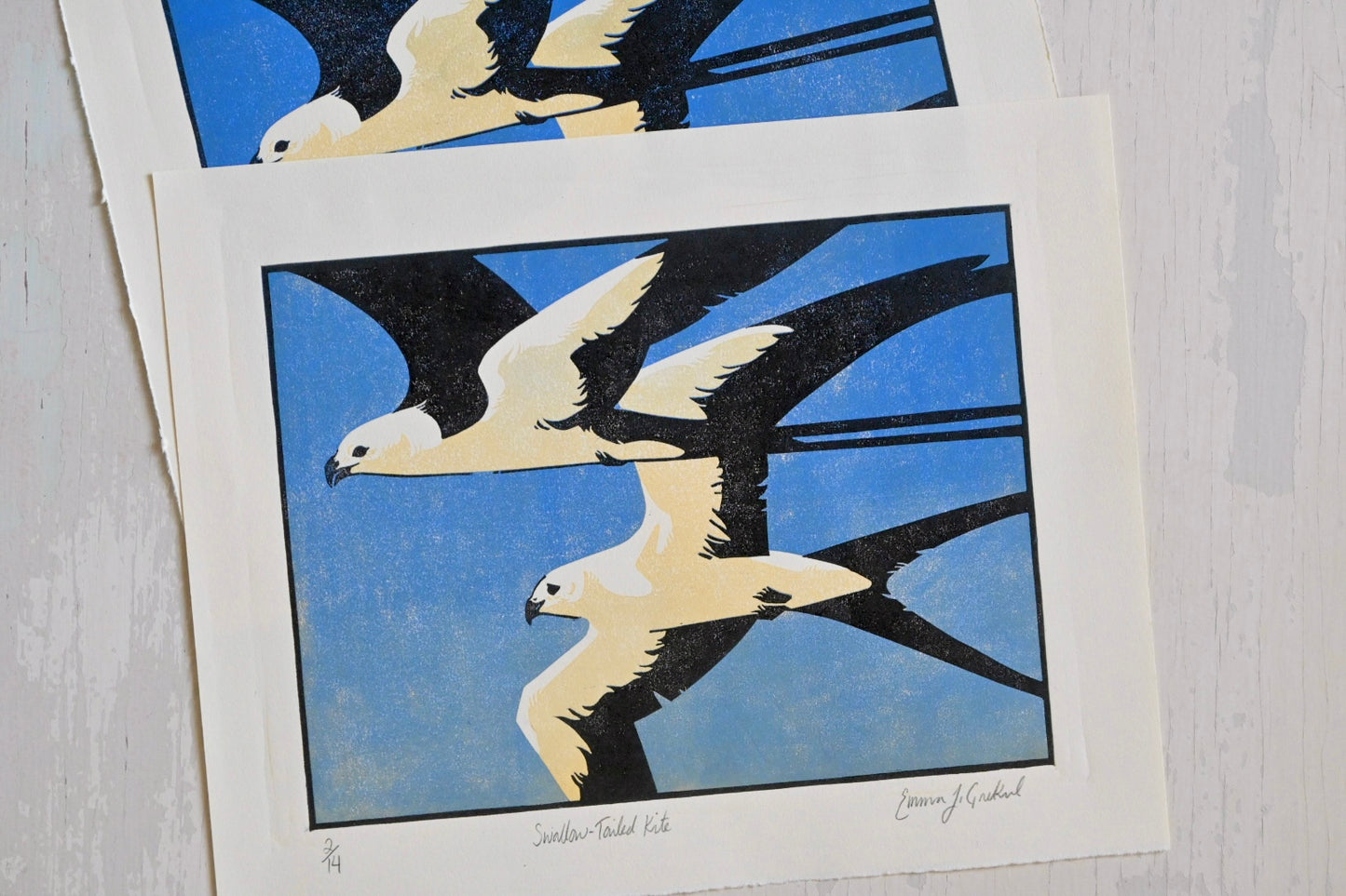 Swallow-Tailed Kite ✦ Limited Edition Linocut Print