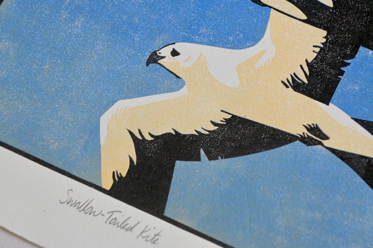Swallow-Tailed Kite ✦ Limited Edition Linocut Print