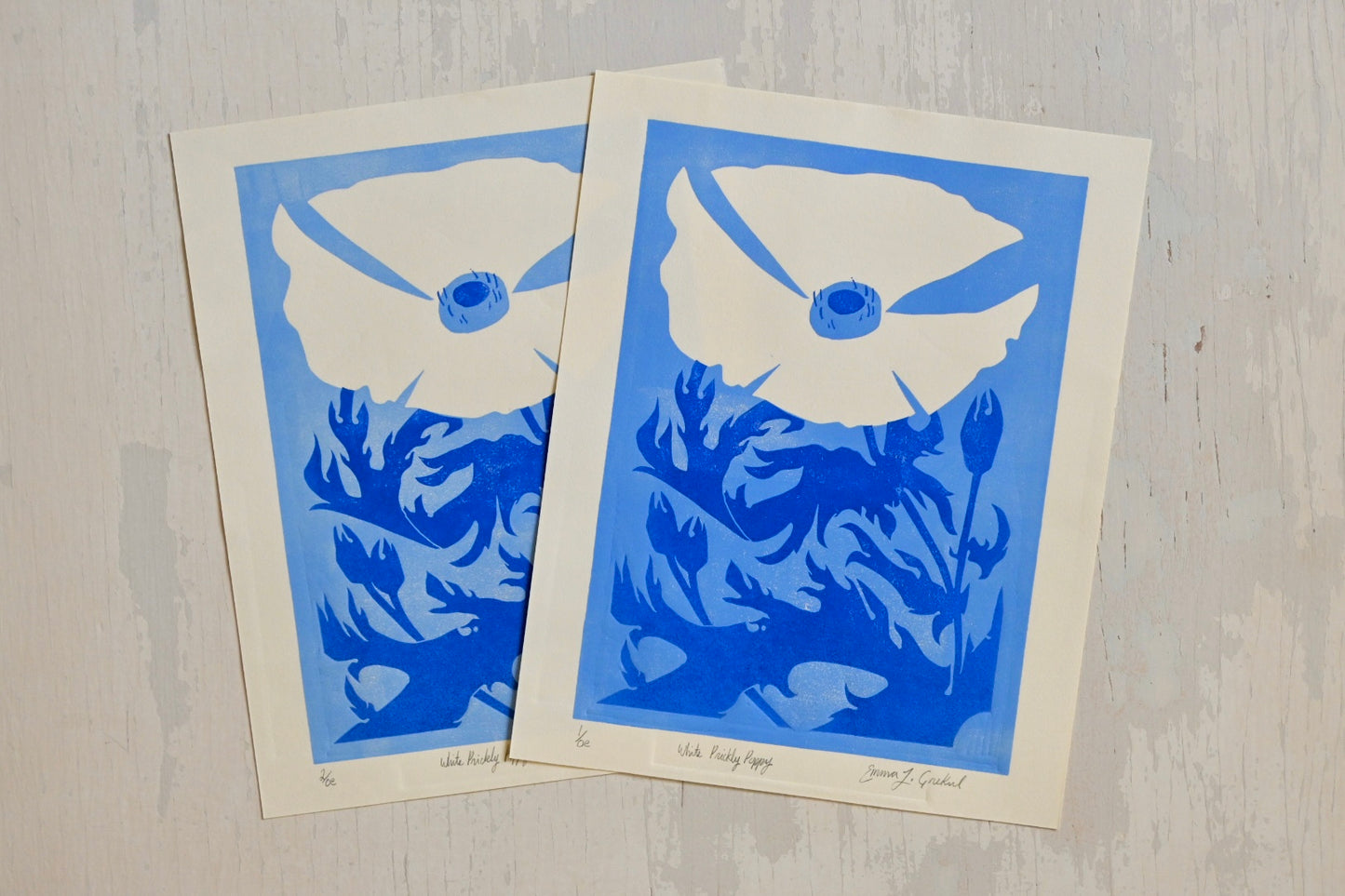 White Prickly Poppy ✦ Handmade Linocut Print ✦ Texas Hill Country Wildflower