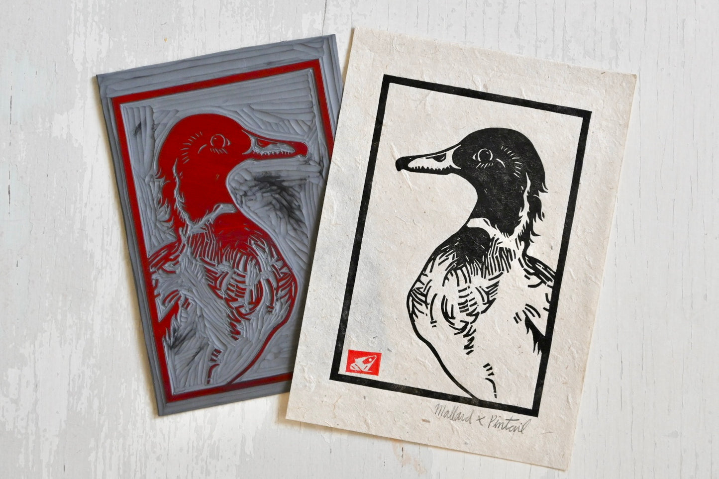 Mallard x Pintail Duck Hybrid ✦ Linocut Print