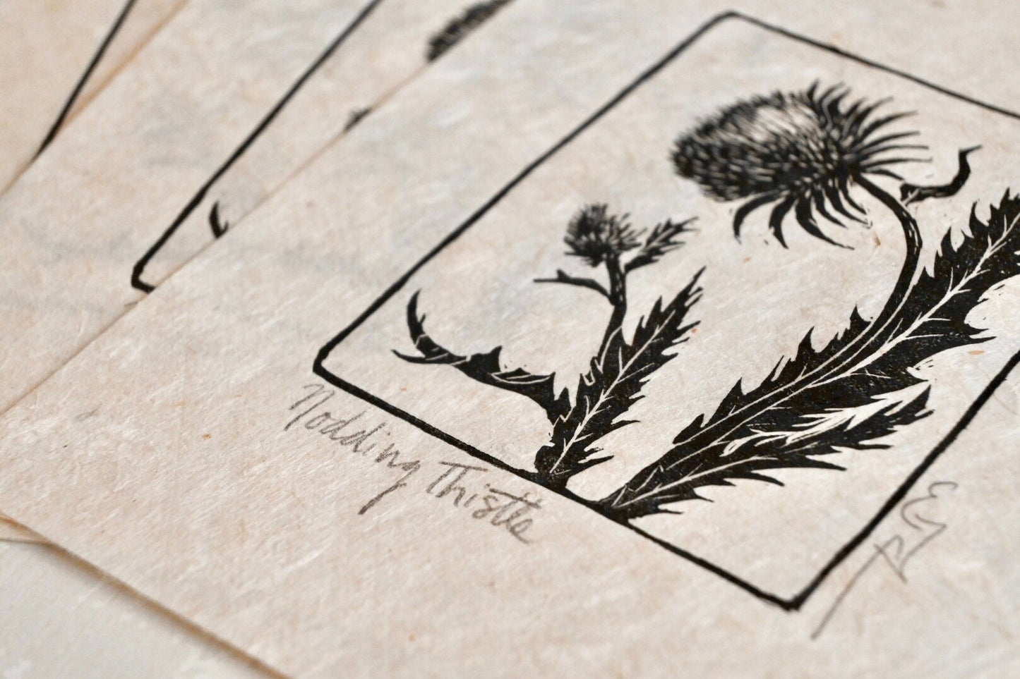 Nodding Thistle ✦ Linocut Print