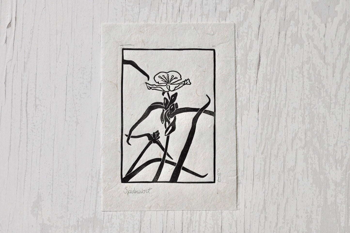 Spiderwort ✦ Linocut Print