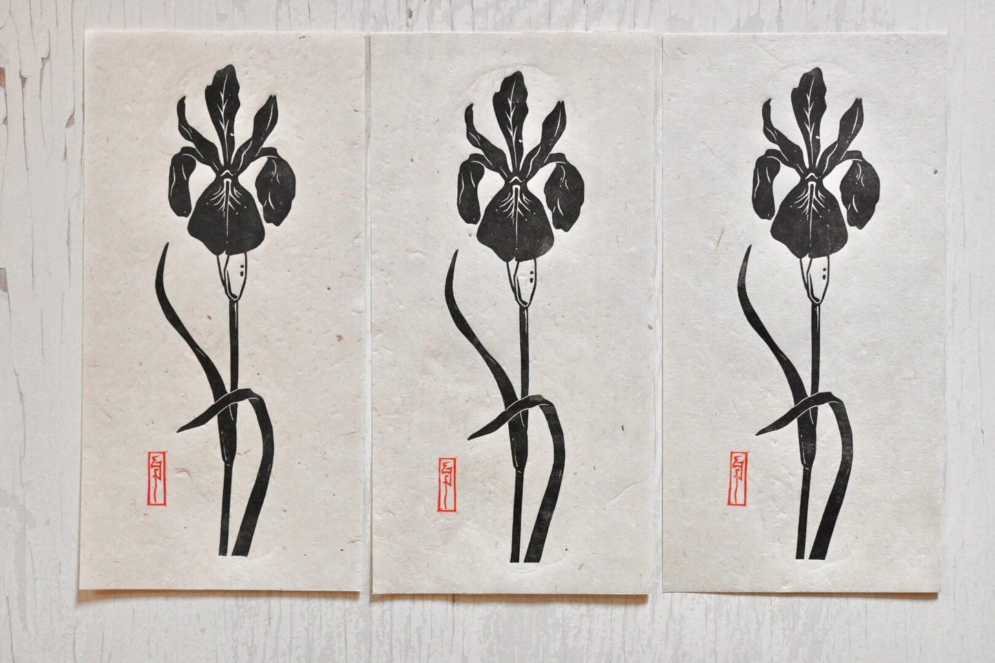 Louisiana Wild Iris #3 ✦ Linocut Print