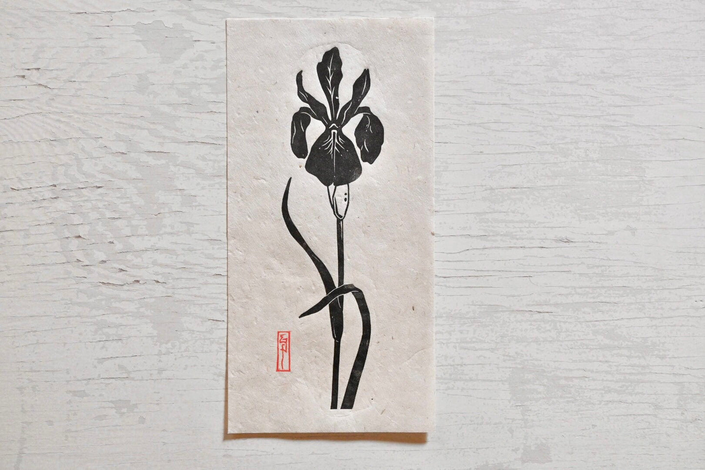 Louisiana Wild Iris #3 ✦ Linocut Print