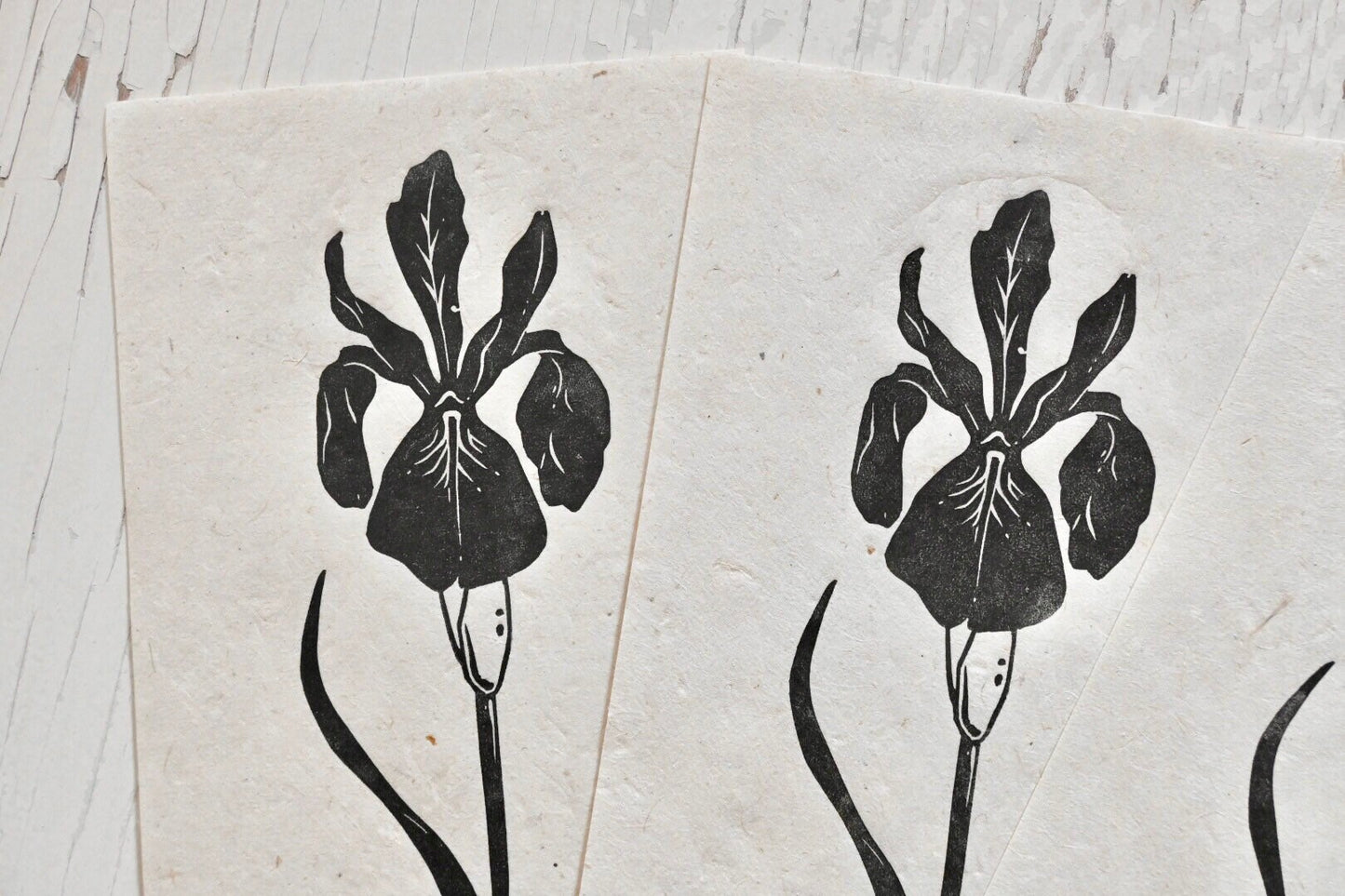 Louisiana Wild Iris #3 ✦ Linocut Print