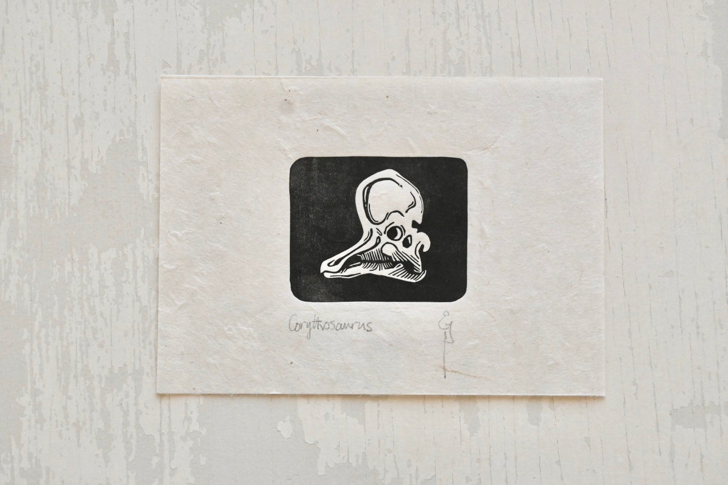 Corythosaurus ✦ Hadrosaur Dinosaur Fossil Skull ✦ Linocut Print