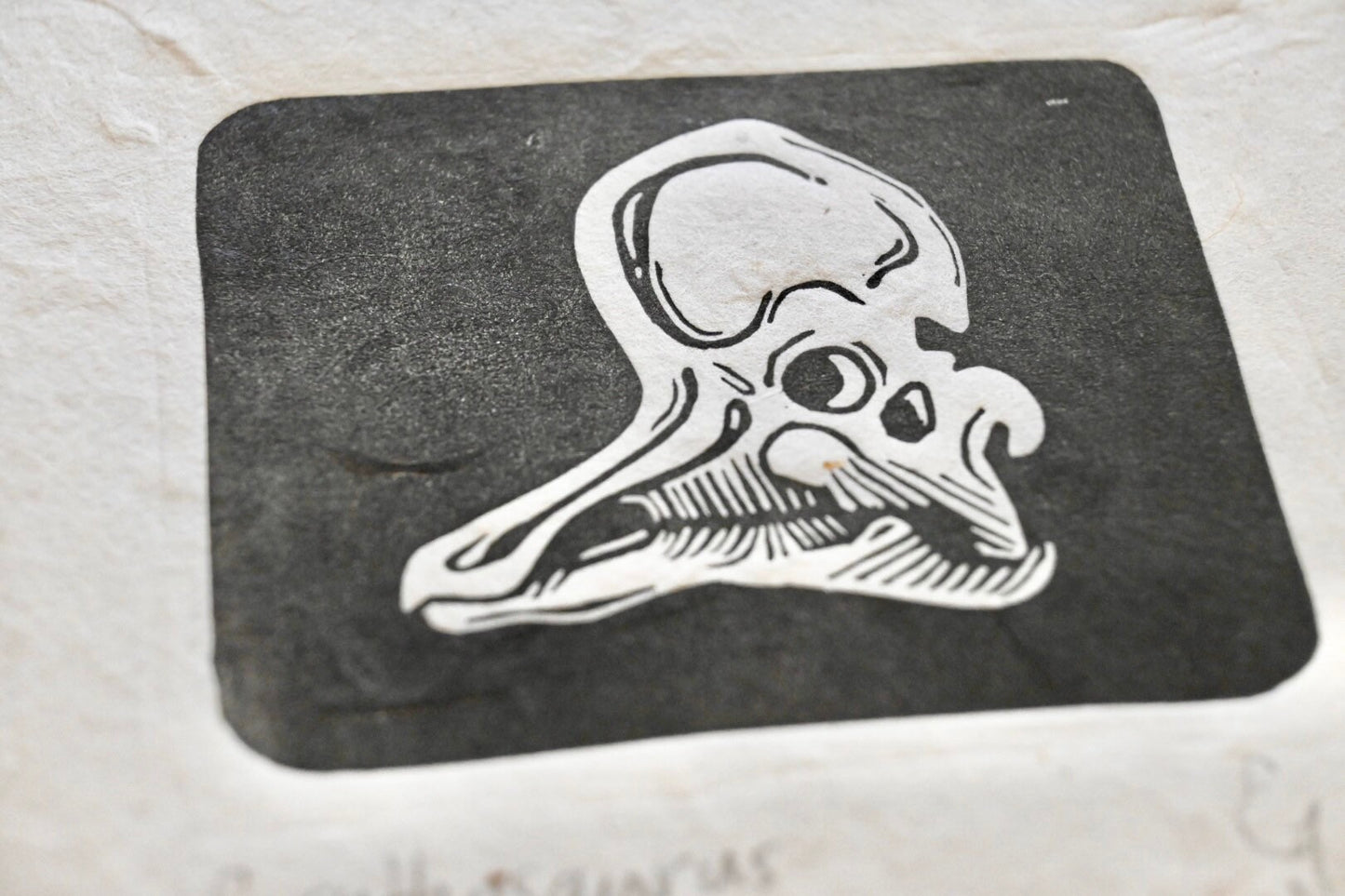 Corythosaurus ✦ Hadrosaur Dinosaur Fossil Skull ✦ Linocut Print
