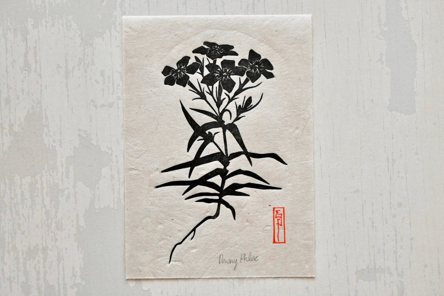 Downy Plox ✦ Prairie Phlox ✦ Linocut Print