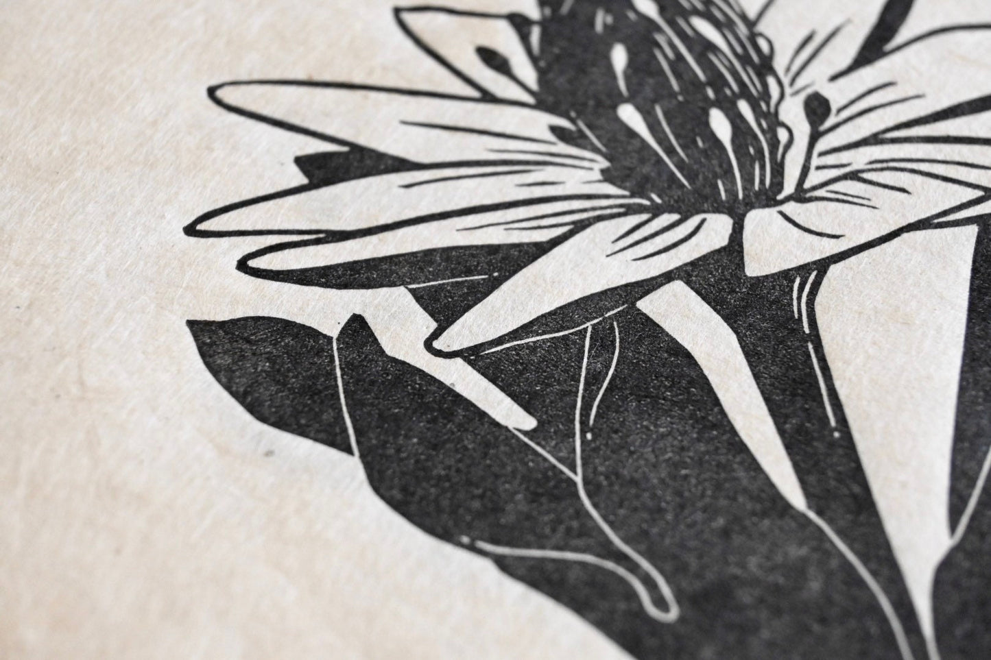Tenpetal Anemone ✦ Linocut Print