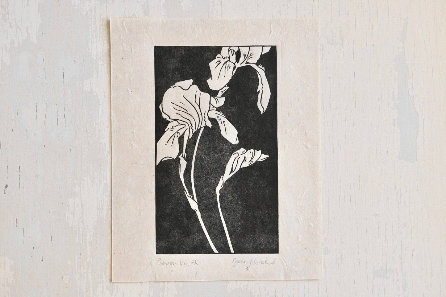 German Iris ✦ Linocut Print