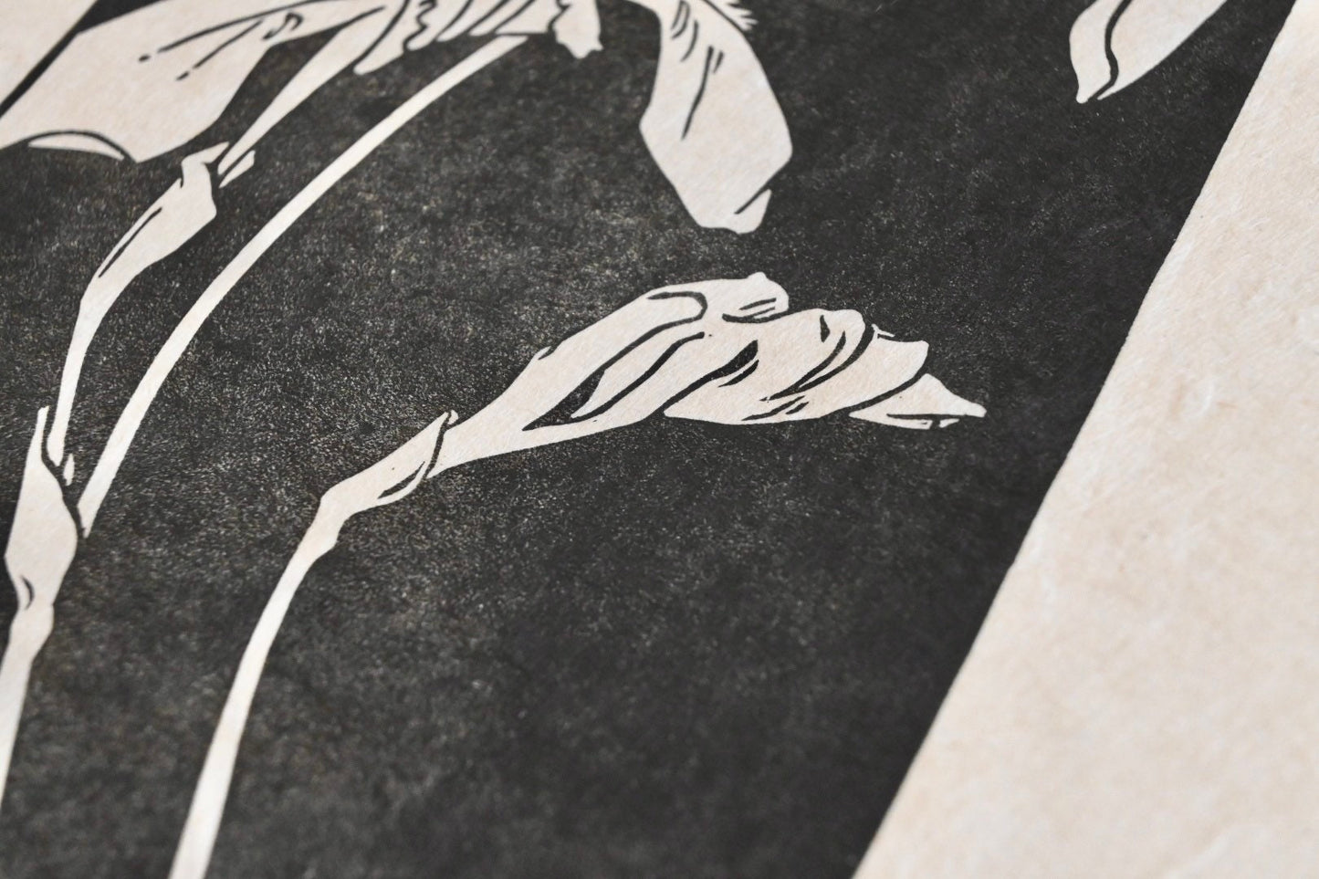 German Iris ✦ Linocut Print
