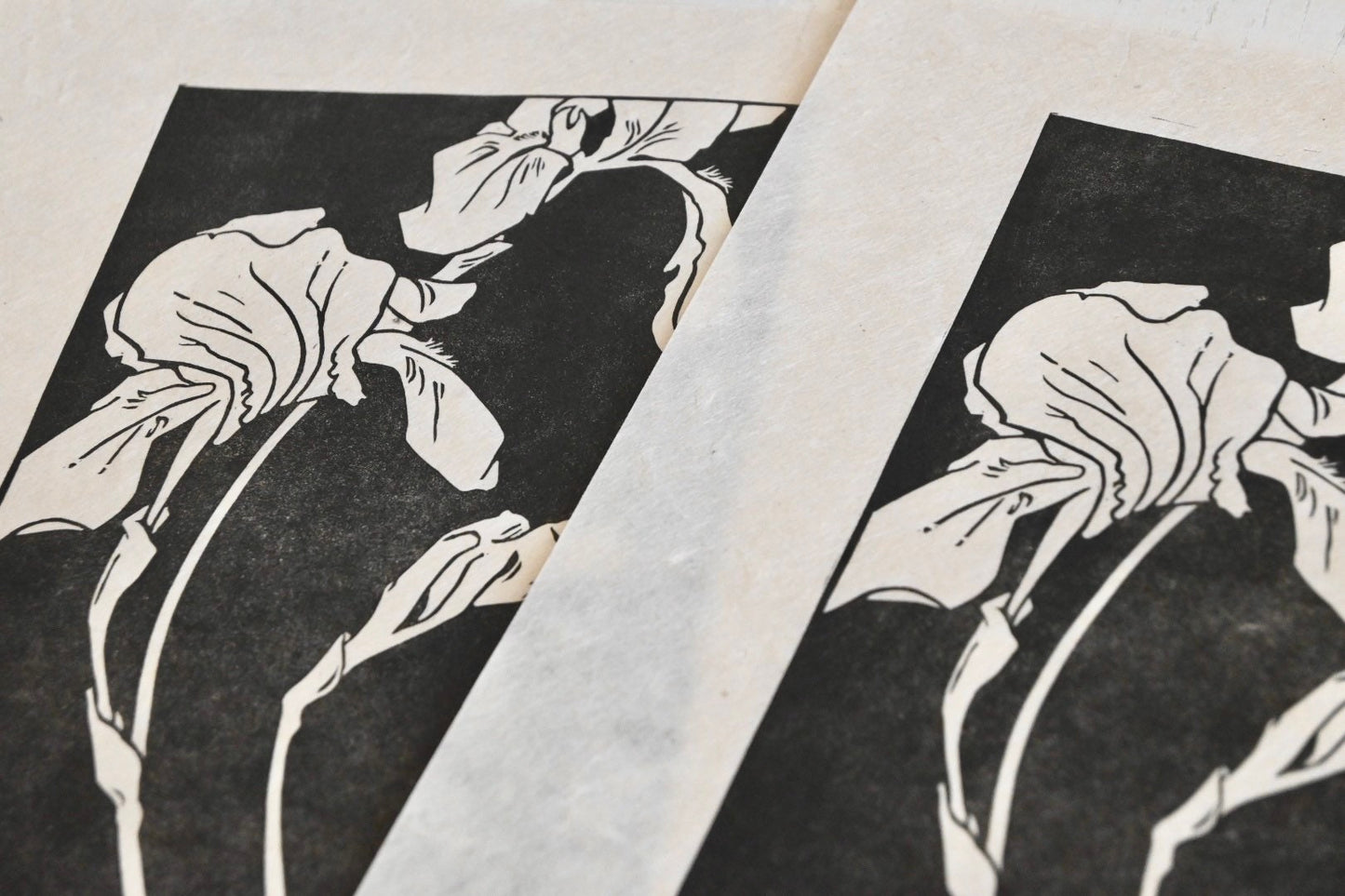 German Iris ✦ Linocut Print