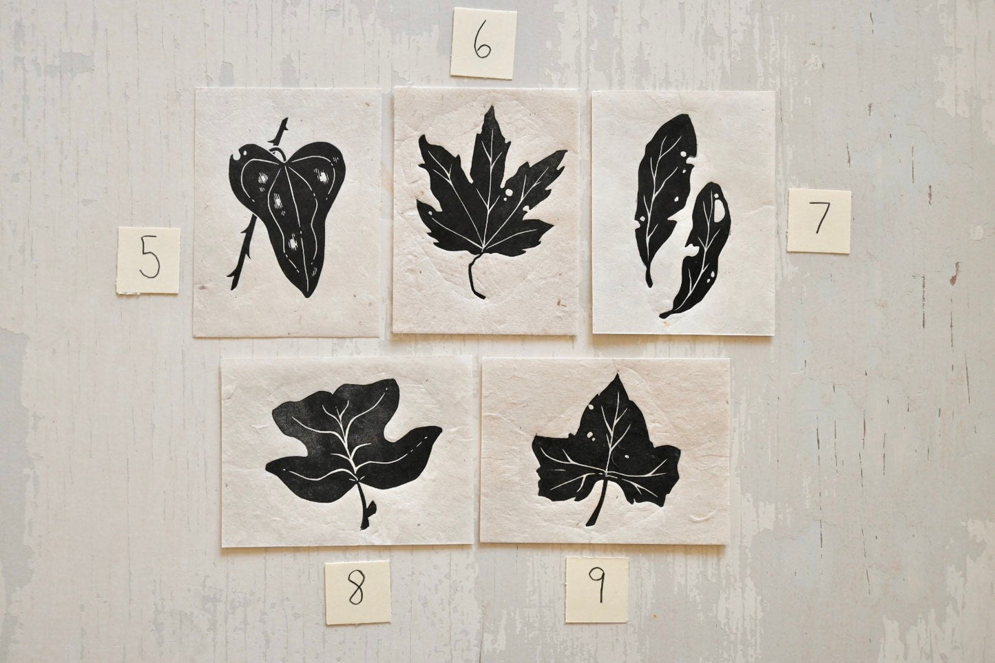 Mini Nature Prints ✦ Leaves Skulls Shells ✦ Linocut