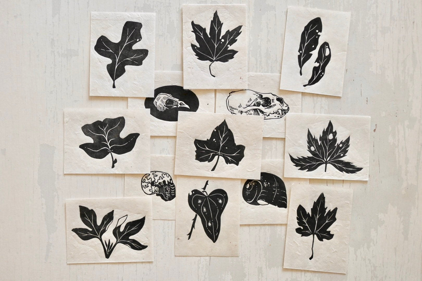 Mini Nature Prints ✦ Leaves Skulls Shells ✦ Linocut