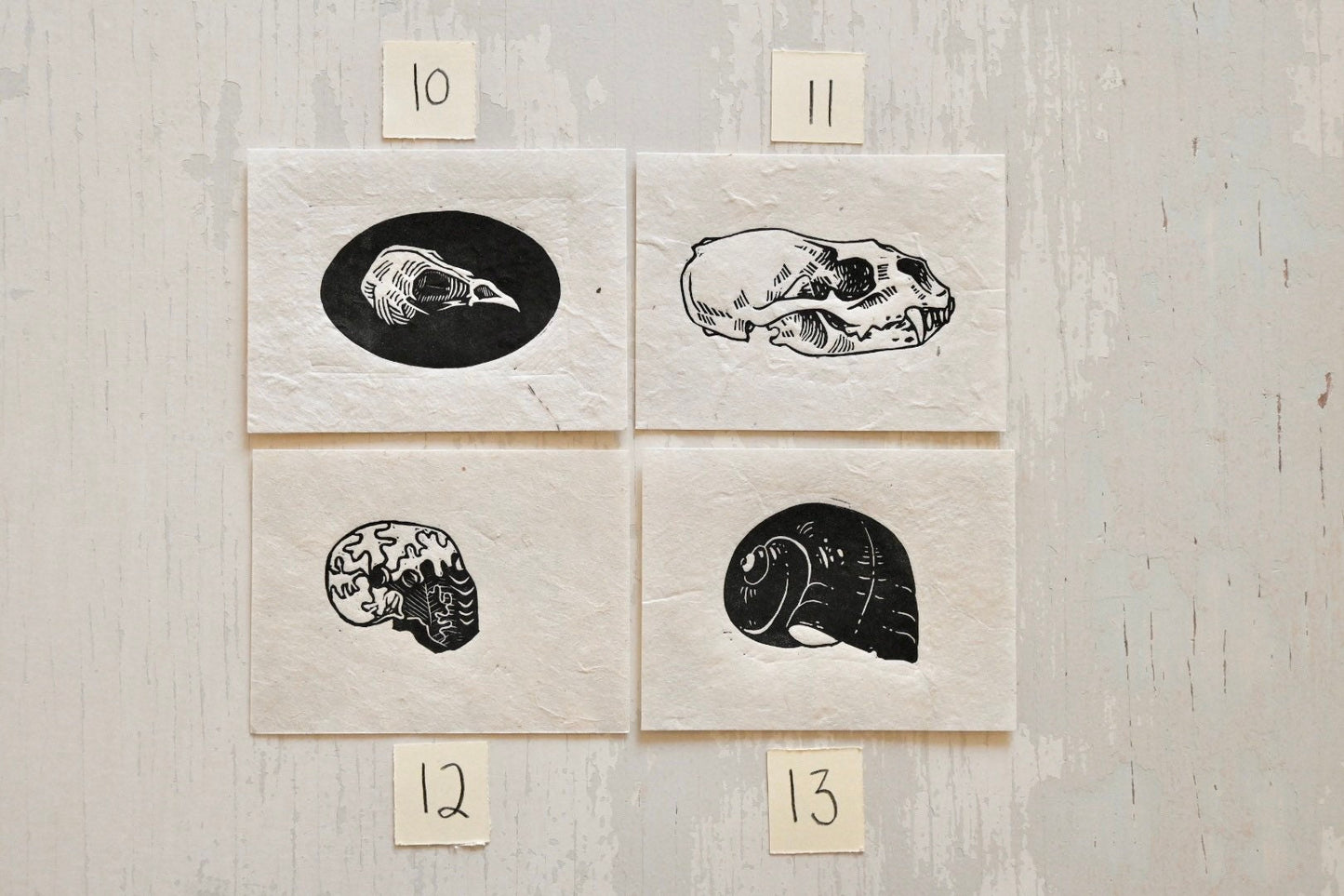 Mini Nature Prints ✦ Leaves Skulls Shells ✦ Linocut