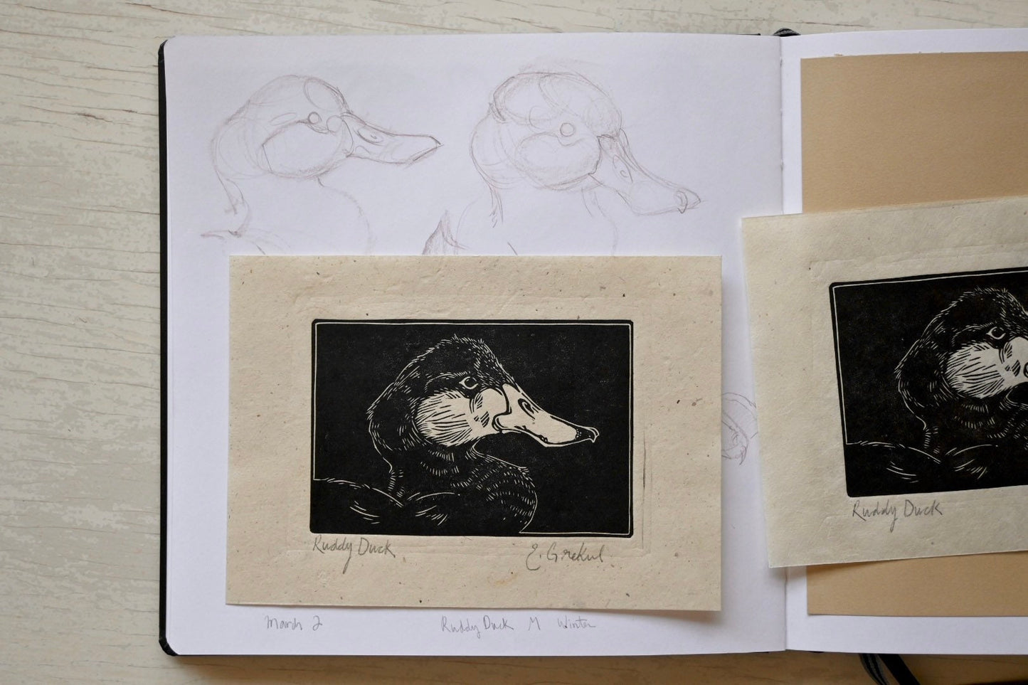 Ruddy Duck ✦ Linocut Print ✦ North American Waterfowl