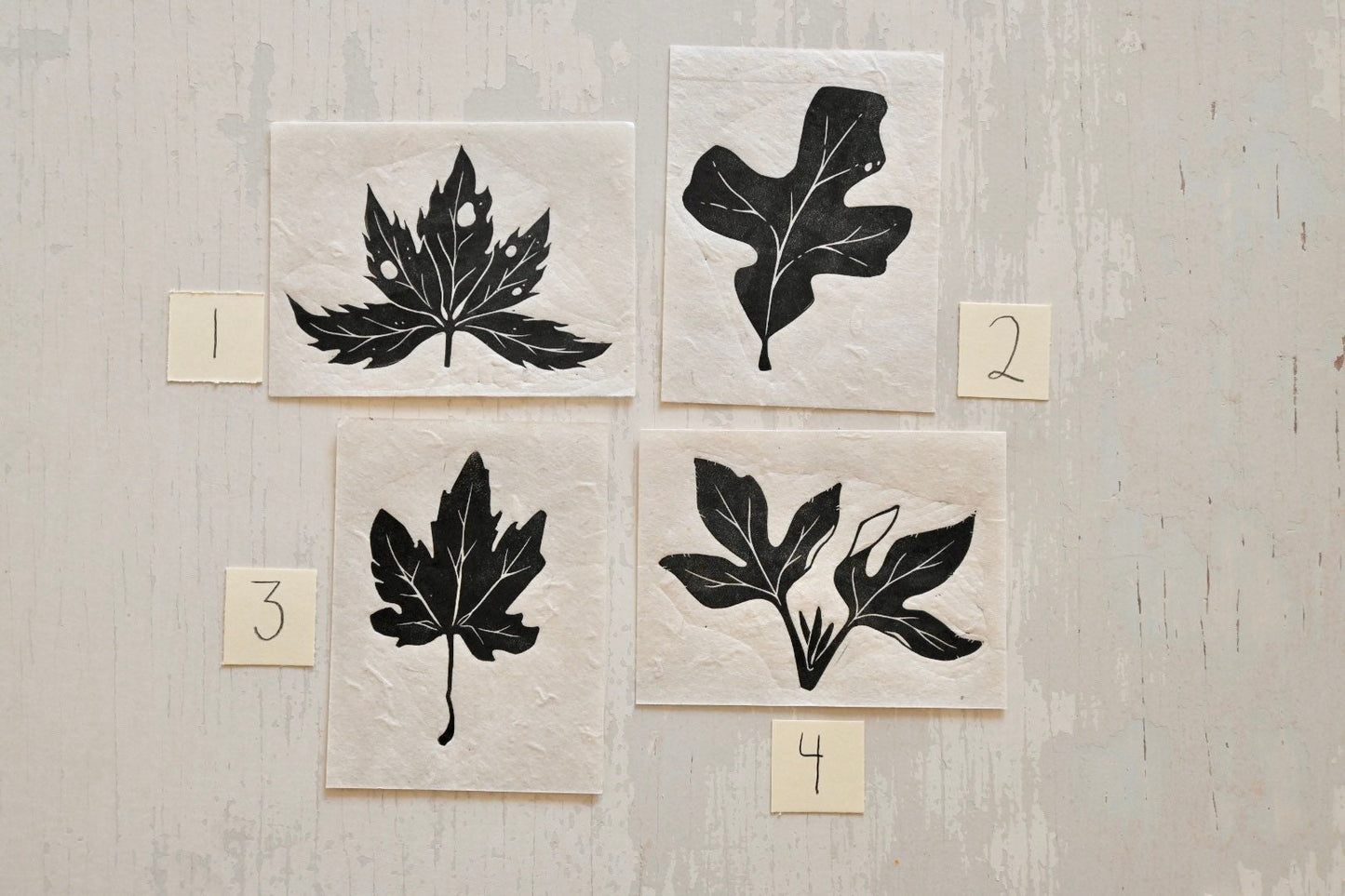 Mini Nature Prints ✦ Leaves Skulls Shells ✦ Linocut