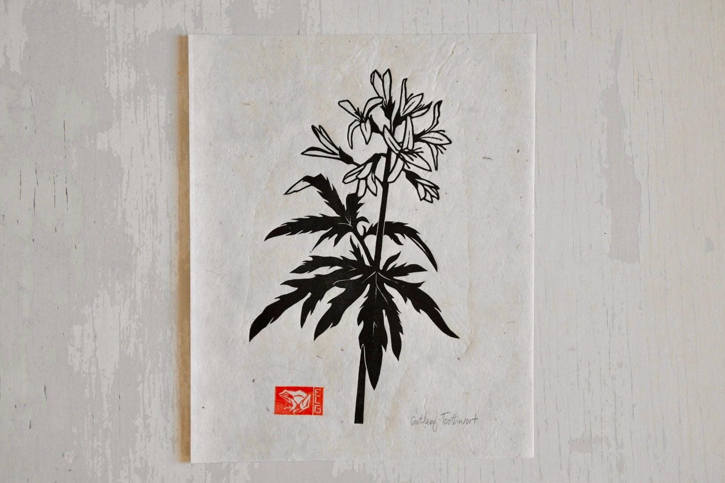 Cutleaf Toothwort ✦ Linocut Wildflower Print