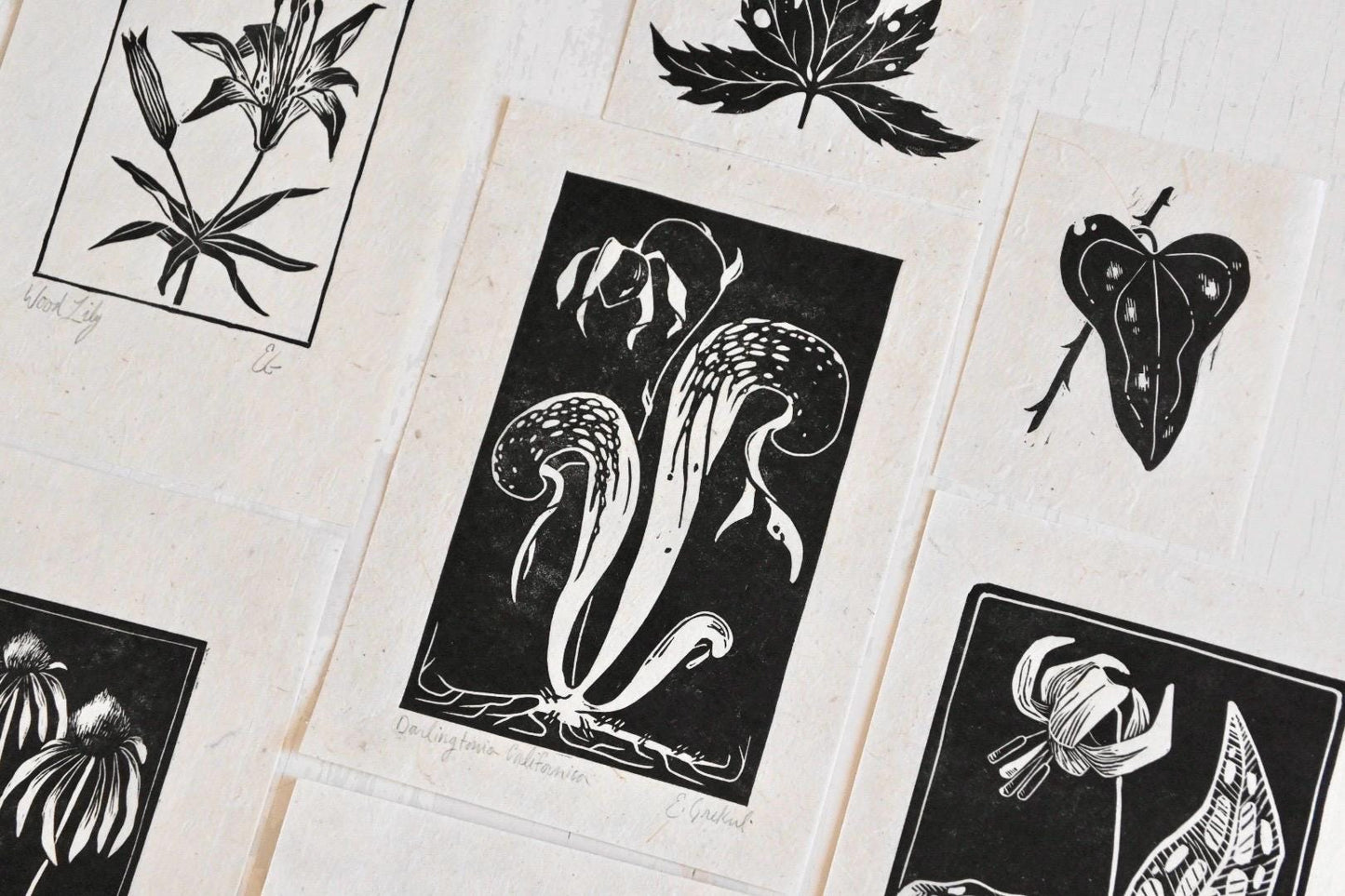 California Pitcher Plant ✦ Linocut Print